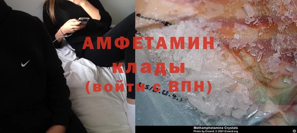 гидра Алексеевка