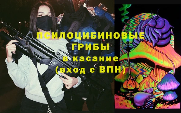 гидра Алексеевка