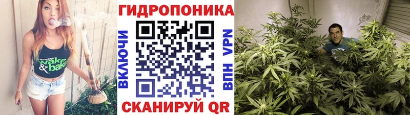 площадка Telegram  Нововоронеж  Шишки марихуана ГИДРОПОН 